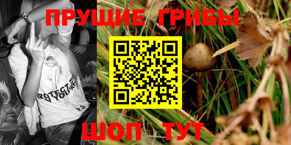 Жигулёвск  Галлюциногенные грибы MAGIC MUSHROOMS  Вход с VPN  Галлюциногенные грибы Magic Shrooms 